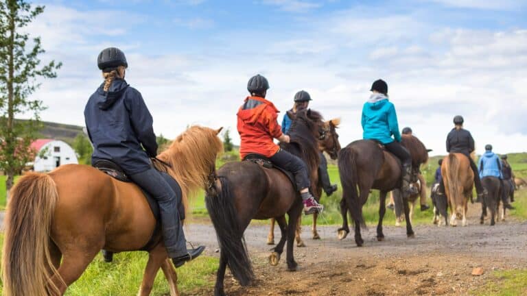 Family Horse Riding